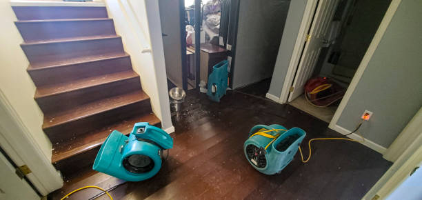 Best Professional water damage repair  in Butler Beach, FL