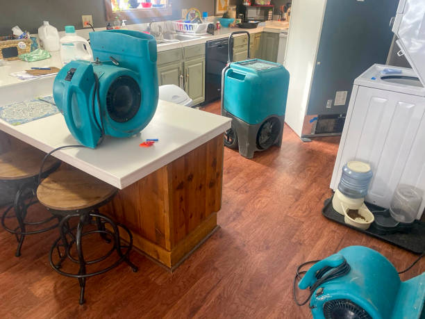 Best Fire Damage Restoration  in Butler Beach, FL