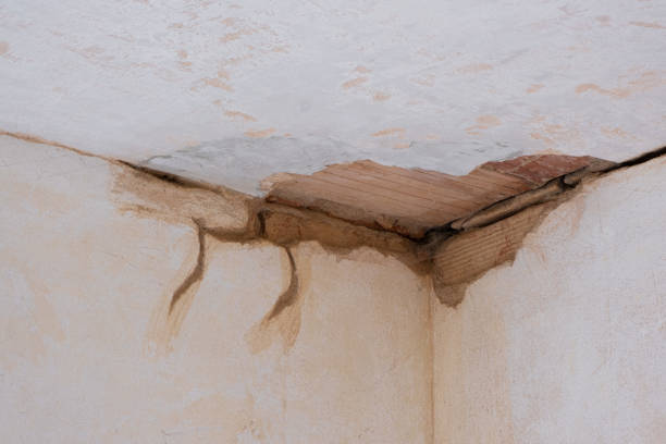 Best Water damage restoration near me  in Butler Beach, FL