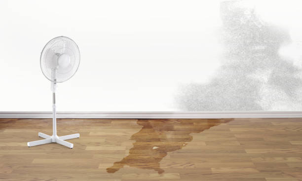 Best Water damage restoration company  in Butler Beach, FL