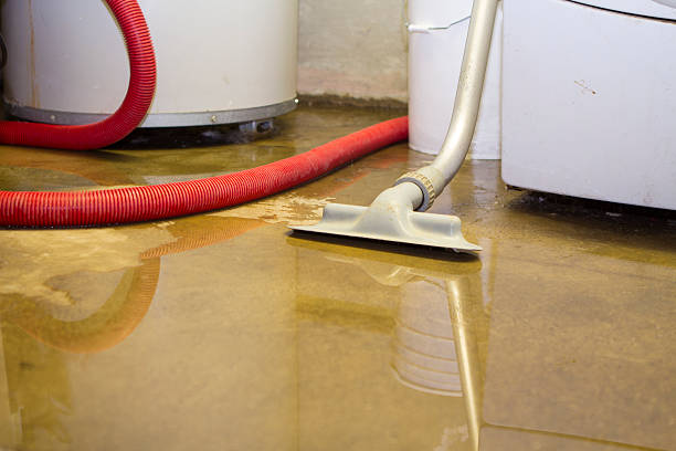 Best Water damage restoration near me  in Butler Beach, FL