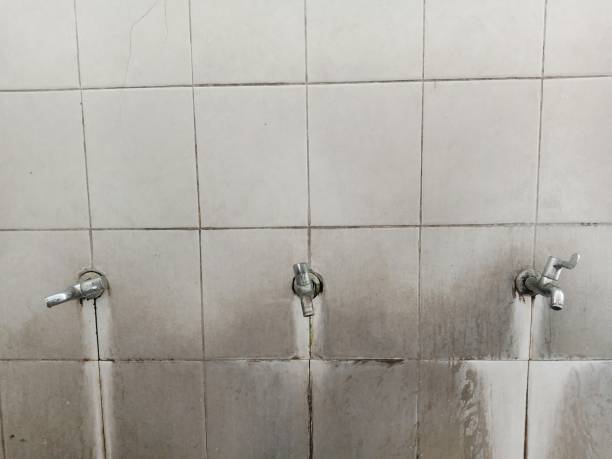 Best Carpet water damage restoration  in Butler Beach, FL