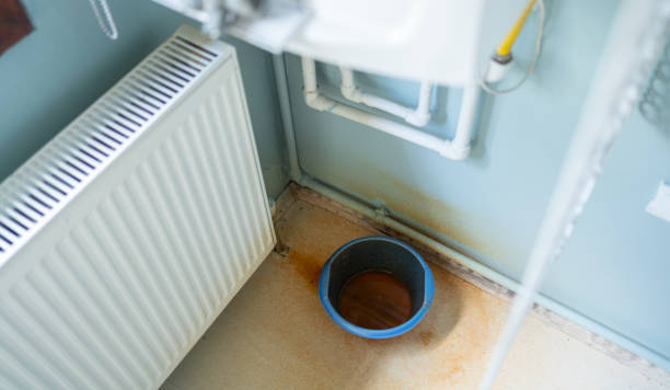 Best Ceiling water damage repair  in Butler Beach, FL