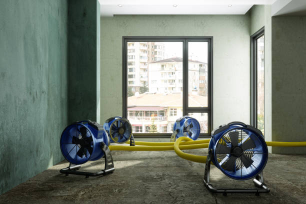 Best Commercial water damage restoration  in Butler Beach, FL